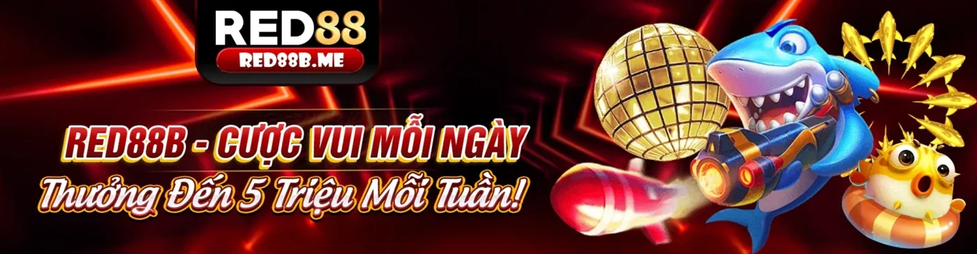 Banner nhà cái DT68 chính thức